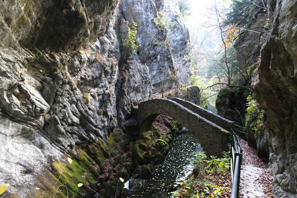 20101030_093